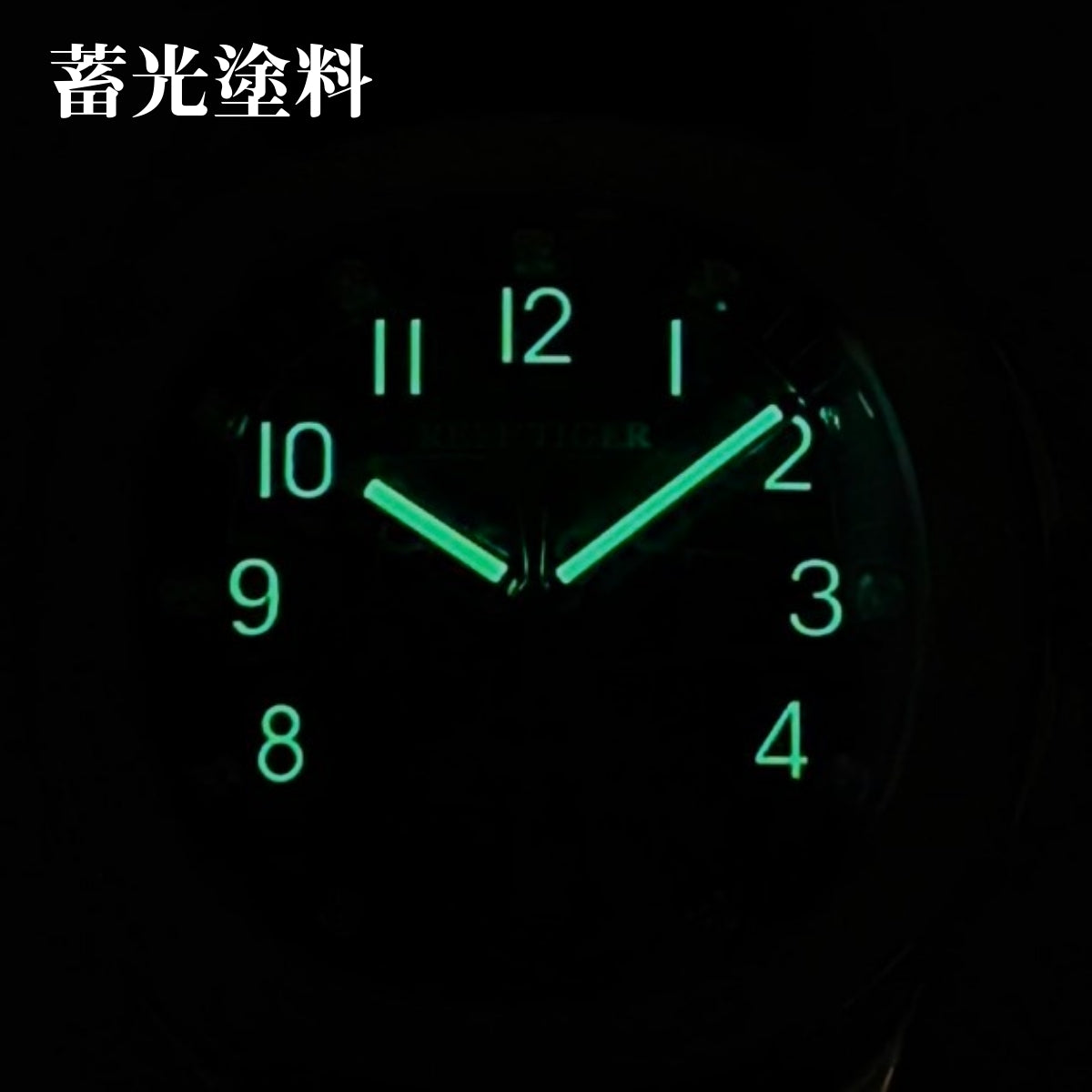 Men's Automatic Watch, Hand-Wound, Day-Date Display, Rubber Strap, REEF TIGER RGA1805