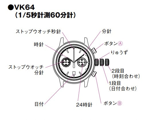 Men's Watch, 40s and 50s, Chronograph, Mechanical Quartz, Calendar, Panda, Two-Hand, BLIGER