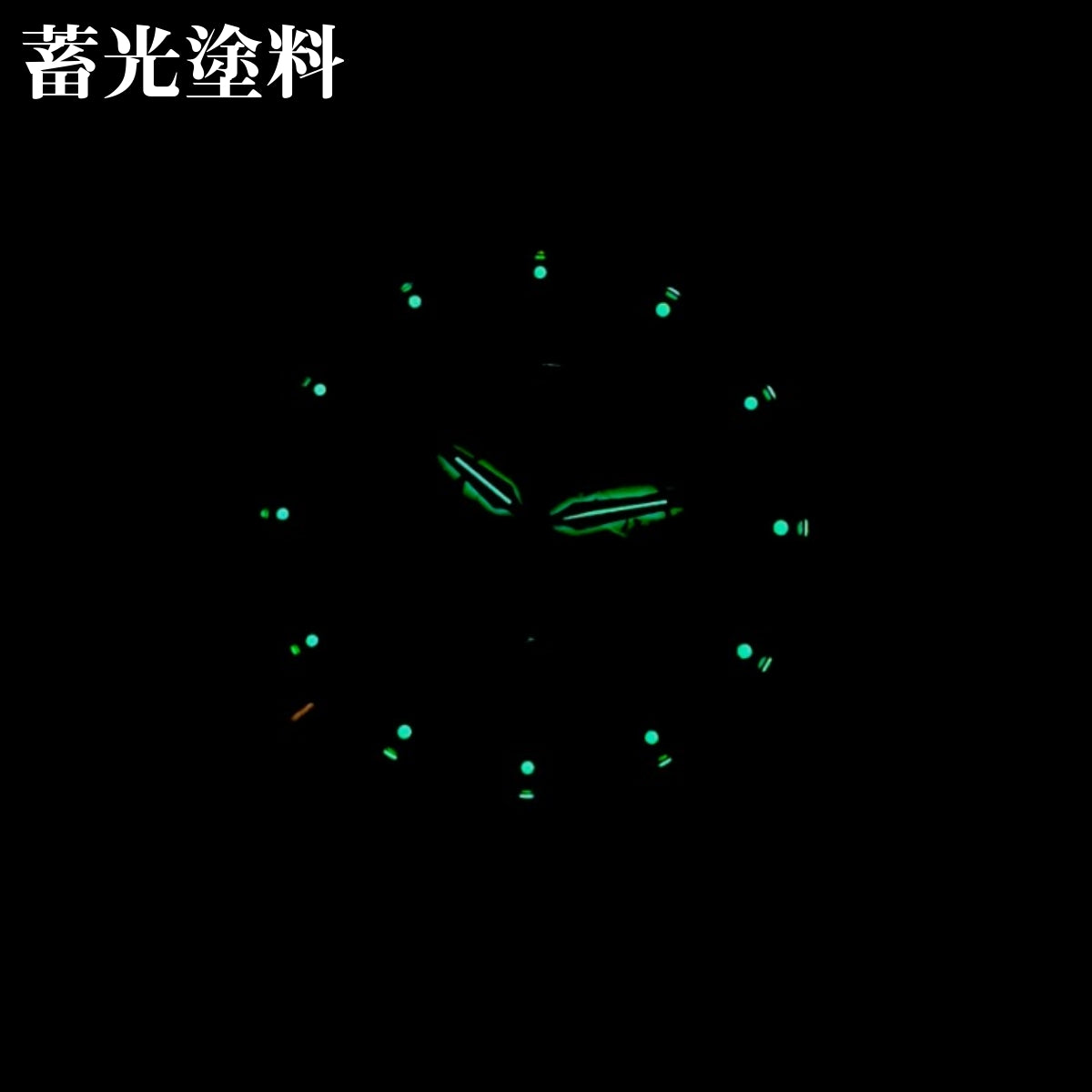 機械式腕時計 メンズ GMT 自動巻き パワーリザーブインジケーター 黒革ベルト 日付 Dバックル CARNIVAL 8762G